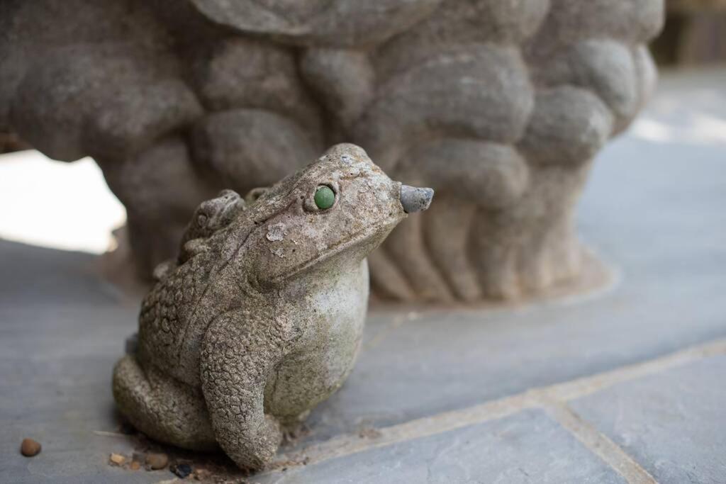 Frogs Bottom Retreat Faversham & Canterbury, Kent Esterno foto